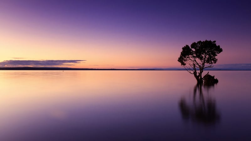 Minimalist Landscapes