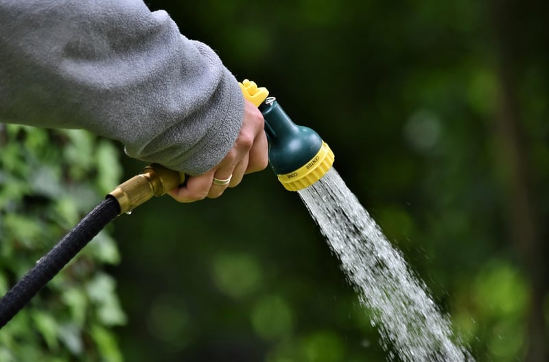 Watering Practices